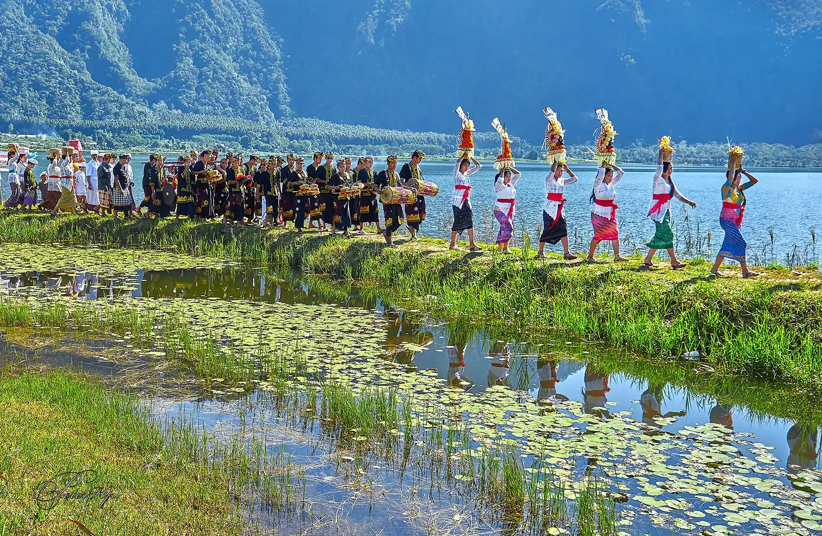 Hunting Foto Alam